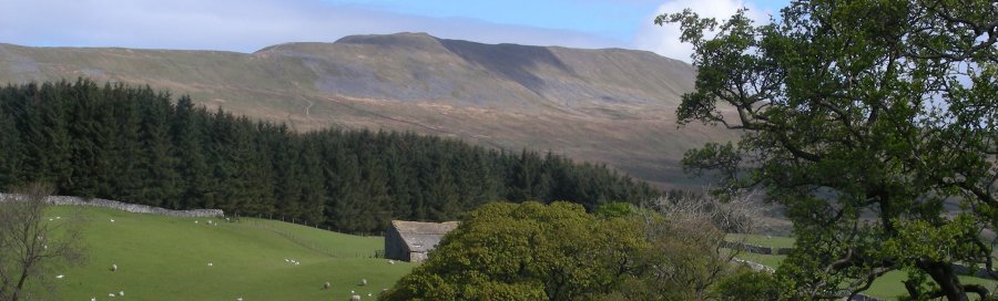 View of Whernside from Chapel Le Dale.