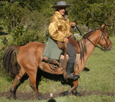A Gaucho (Huaso) on horseback.